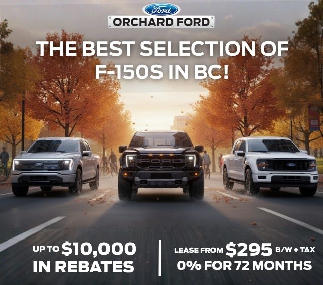 Three Ford F-150 trucks on a scenic autumn road promoting Orchard Ford deals in BC with rebates and leasing options.
